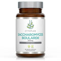 Saccharomyces Boulardii - 60 vcaps