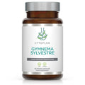 Gymnema Sylvestre - 60 vcaps
